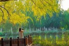 麻豆自制剧情国产app-麻豆自制剧情——国产APP的创意新风向